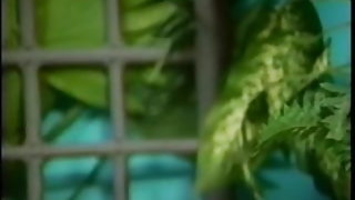 Huncut érett aranyos fekete lány szereti a fajok közti fehér kakas ingyenes pornó videók a tizenévesek