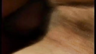 Szőrös brazil érett anál pornó szabadtéri p20 ingyenes letöltés india szex videók