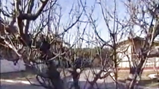 Egy japán terhes pornó ensz haza forró part3 felnőtt film ügynökség